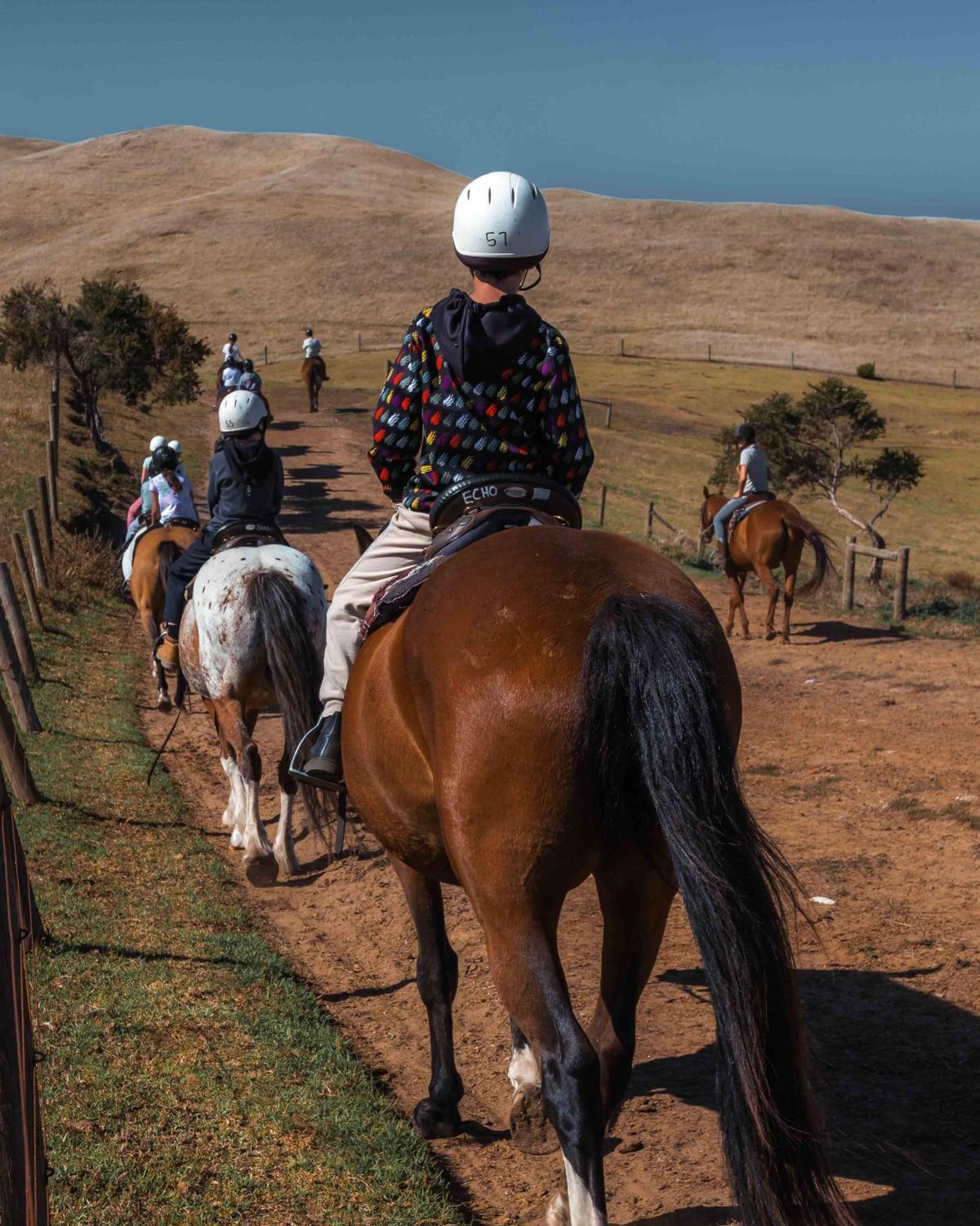 The Ranch Mornington Peninsula Βίλα Boneo Εξωτερικό φωτογραφία